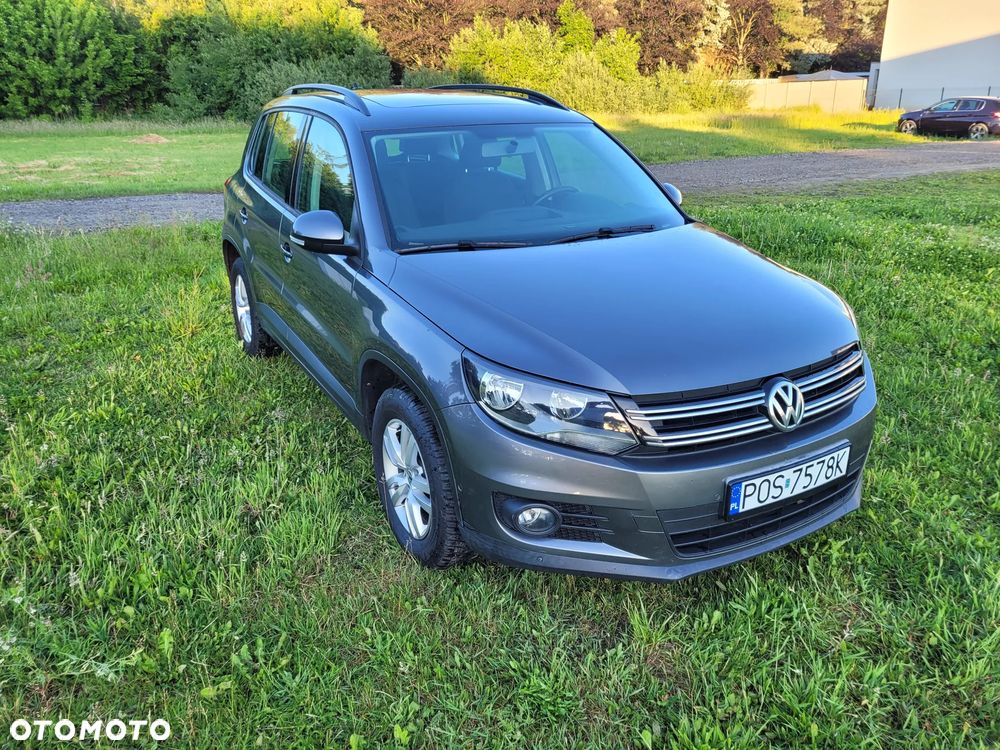 Volkswagen Tiguan - 1