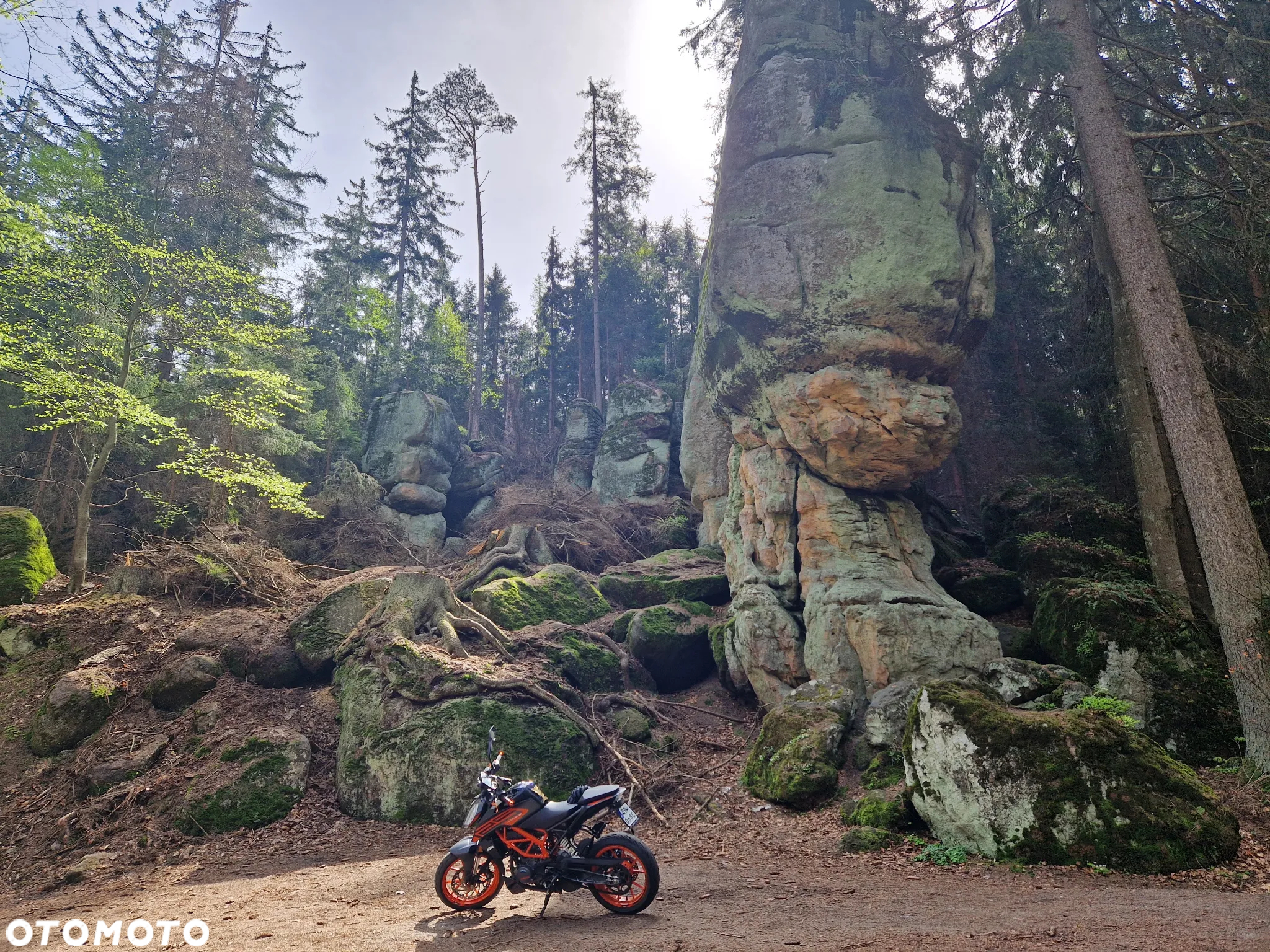 KTM Duke - 9