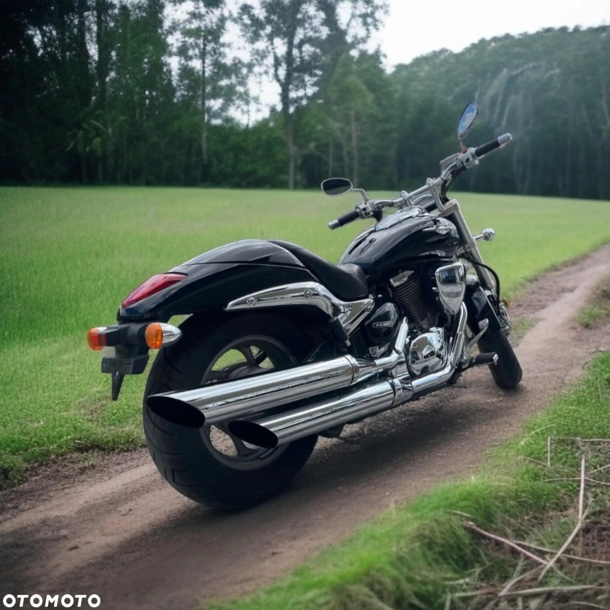Suzuki VZ - 4