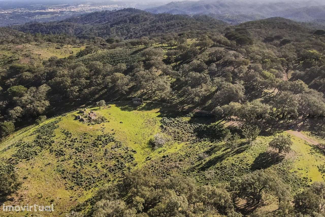 Terreno Rústico 13.0 ha, Grandola - Grande imagem: 3/6