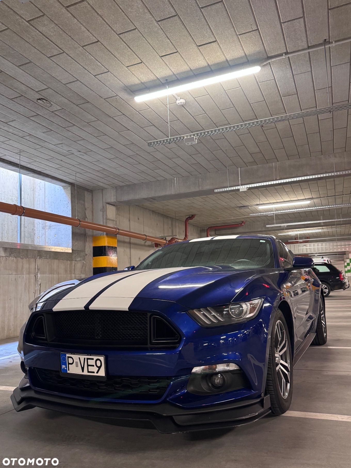 Ford Mustang 2.3 EcoBoost - 1