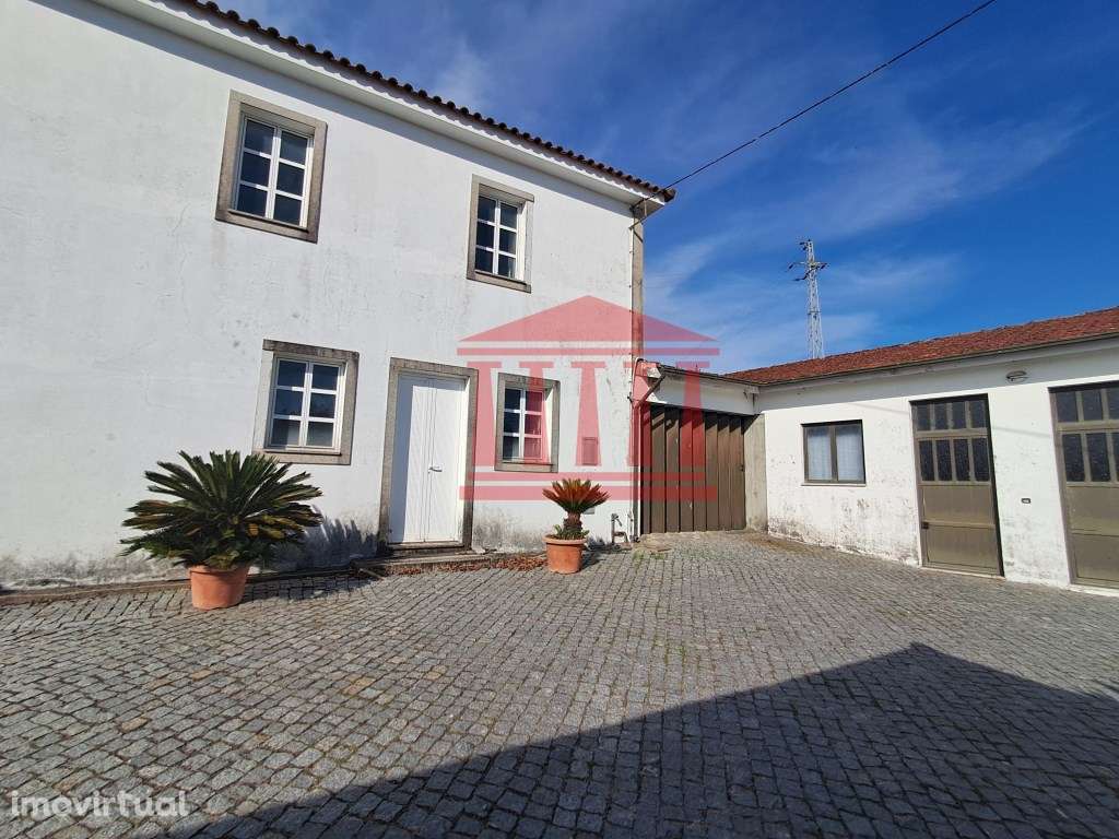 QUINTINHA COM CASA E ANEXOS - AREIAS - BARCELOS - Grande imagem: 5/18