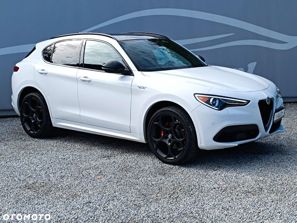 Alfa Romeo Stelvio 2.0 Turbo Veloce Q4 - 16