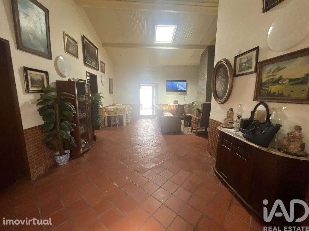 Moradia térrea T3 em Cabeça Gorda - Grande imagem: 2/21