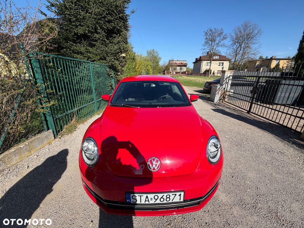 Volkswagen Beetle - 1