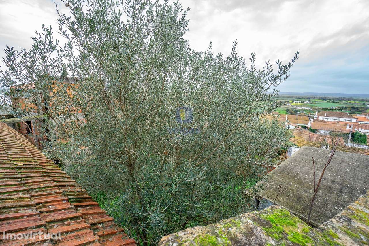 Lote Urbano de 280 m2 com antiga Fábrica em Ruína - Grande imagem: 4/27