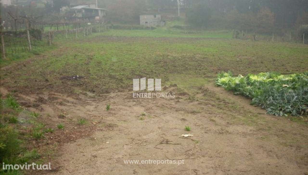 Venda Terreno, Várzea do Douro, Marco de Canaveses - Grande imagem: 4/7