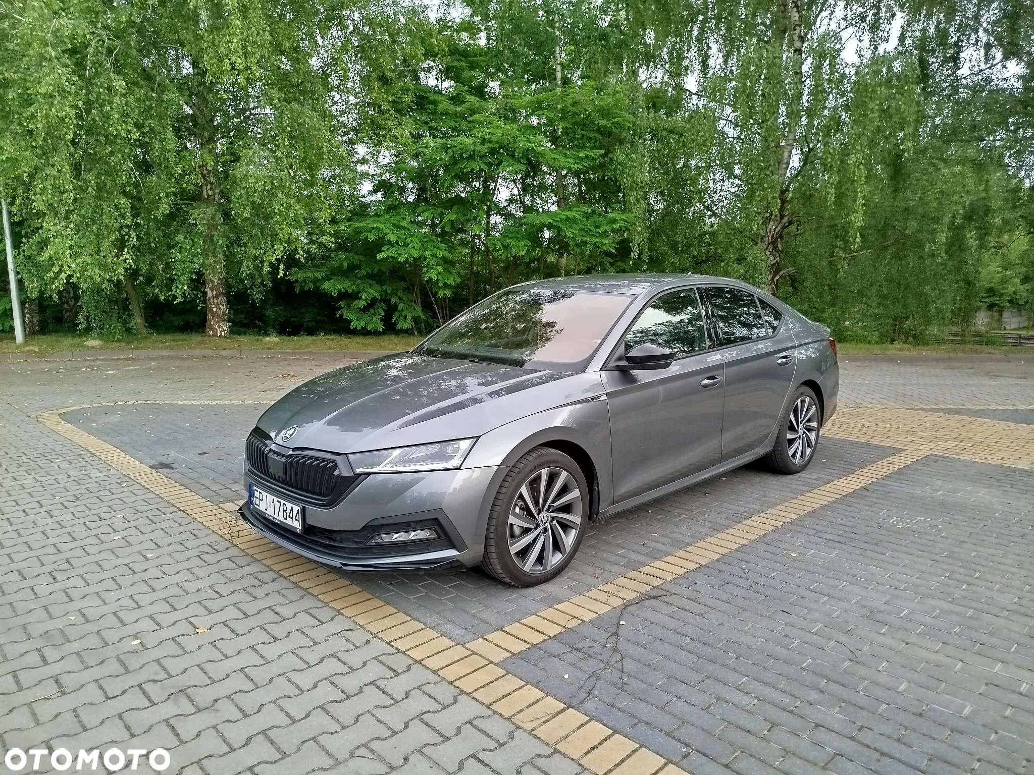 Skoda Octavia 1.5 TSI Sportline - 13