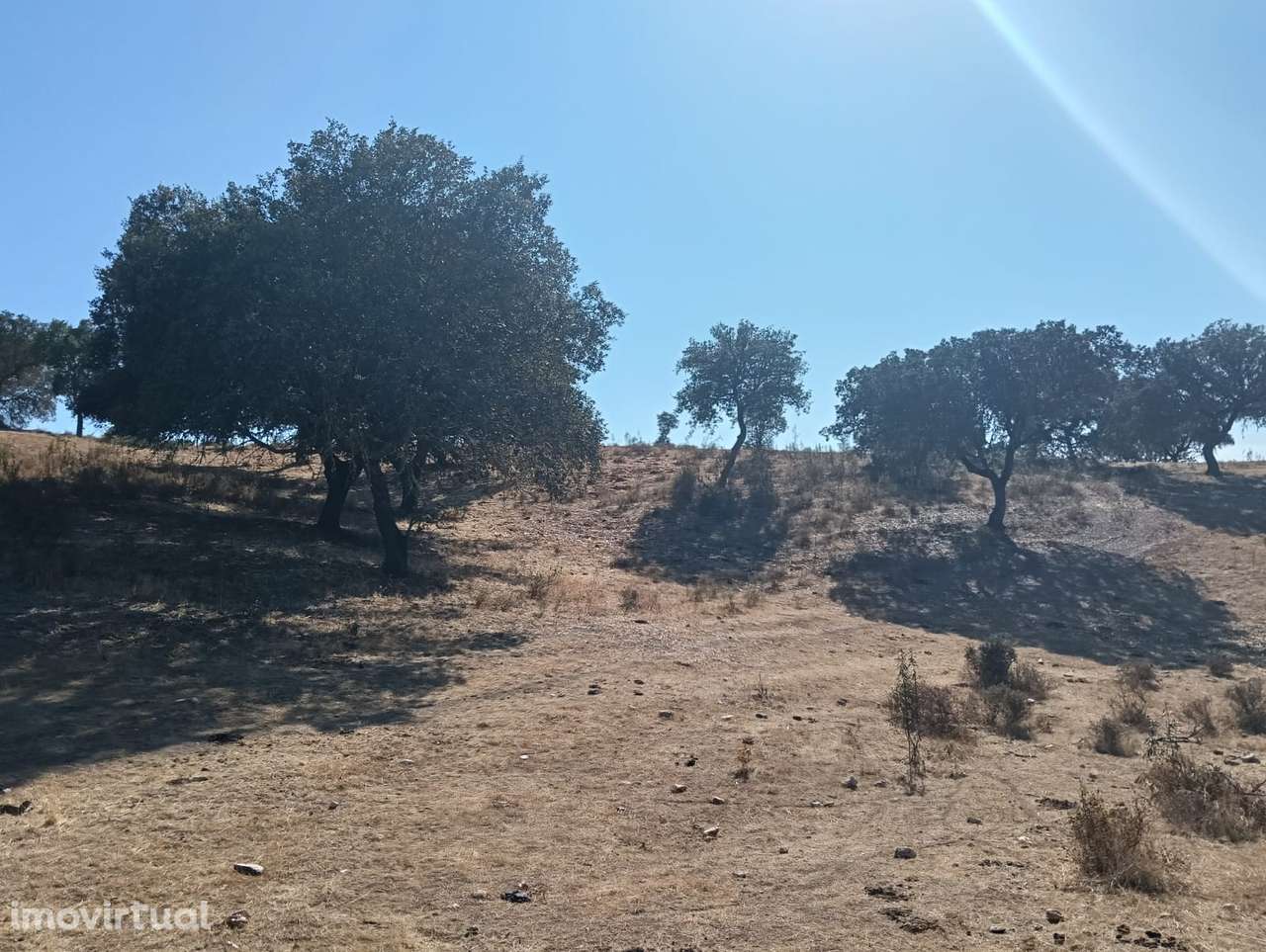 HERDADE | VENDA | ALENTEJO | SERPA - Grande imagem: 5/49