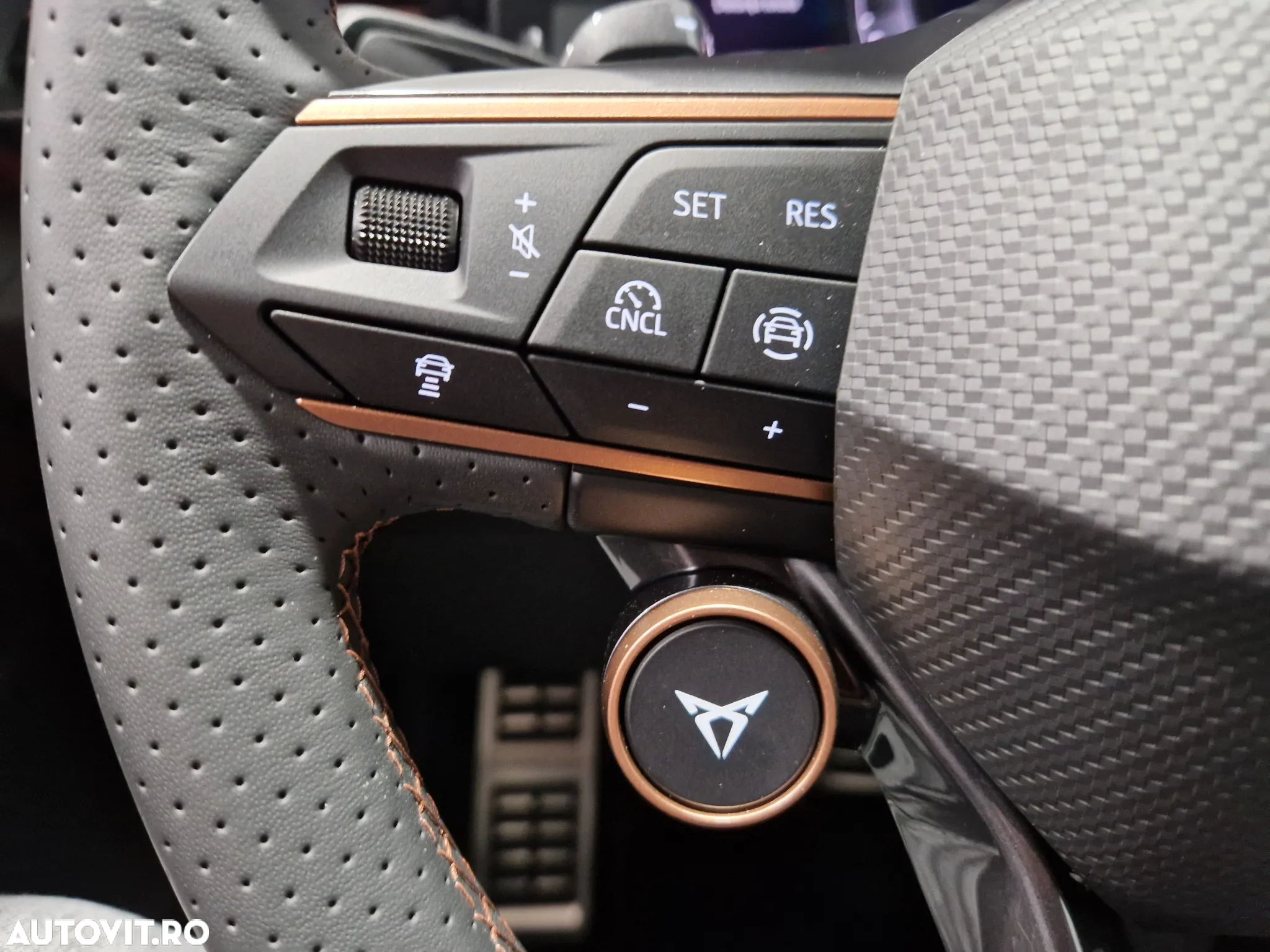 Cupra Terramar - 19