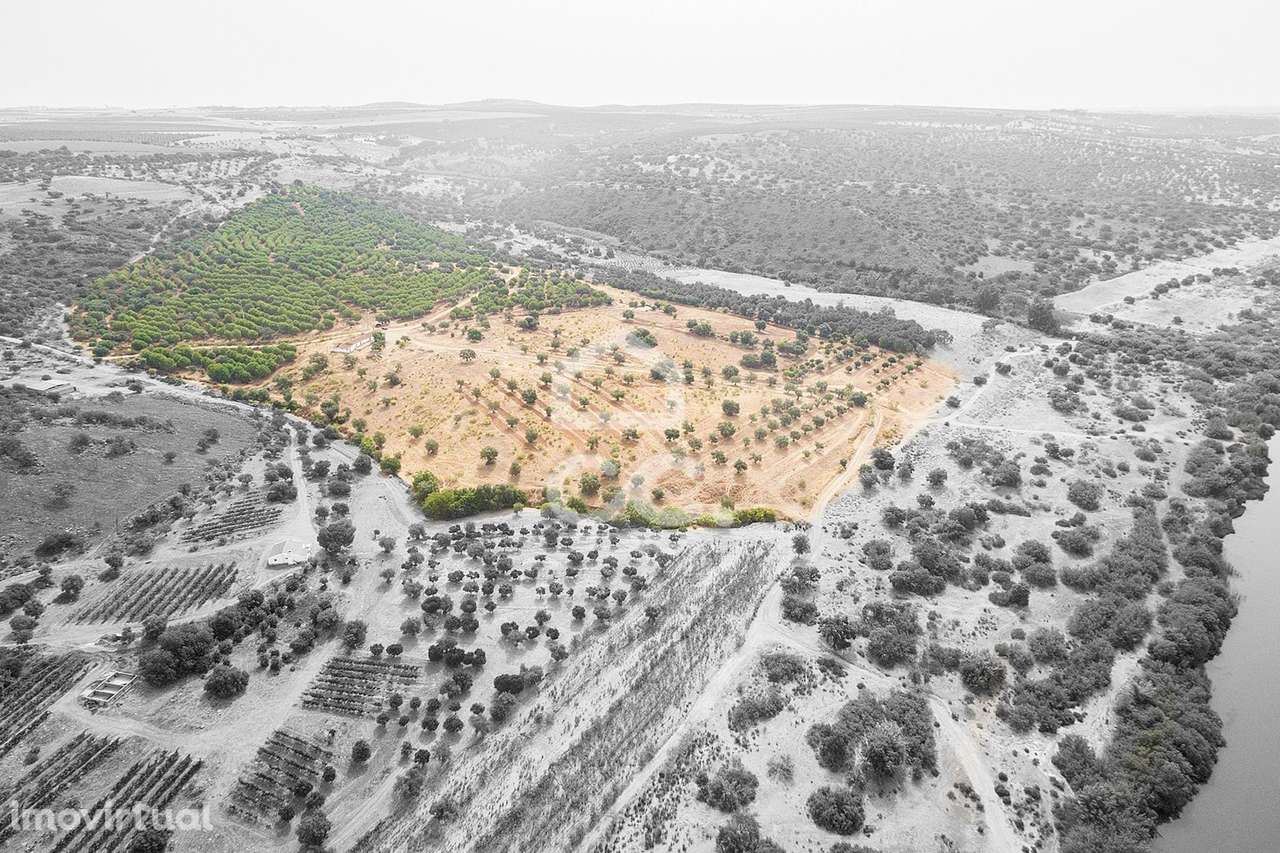 Herdade de 18,7 hectares com monte junto ao Guadiana | Serpa - Grande imagem: 2/60