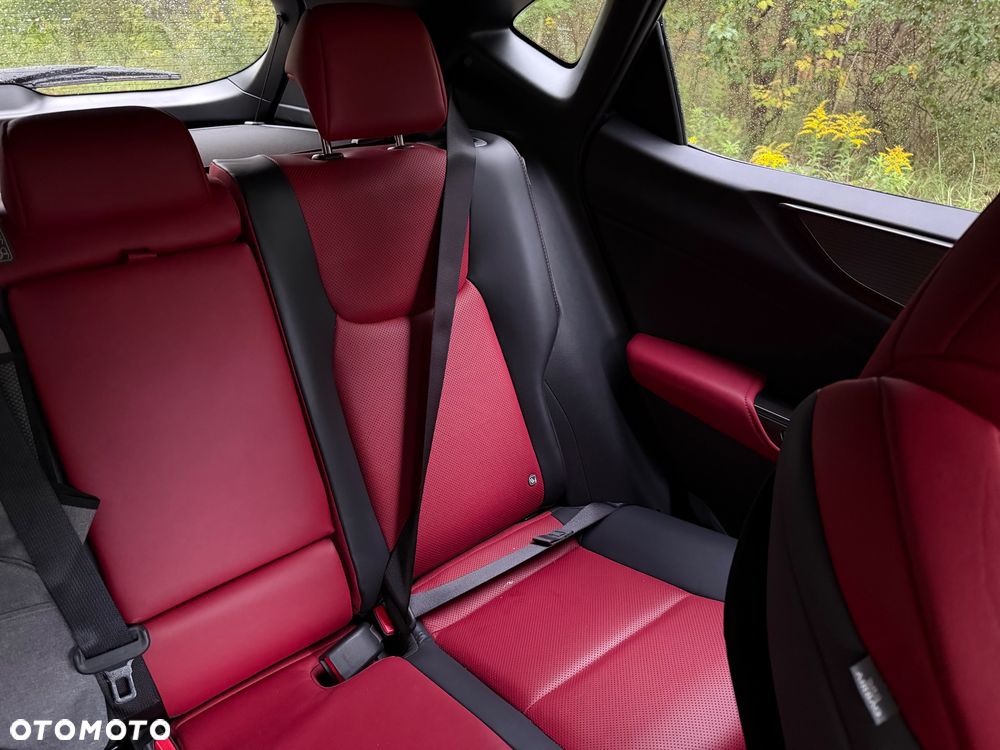 Lexus NX - 33