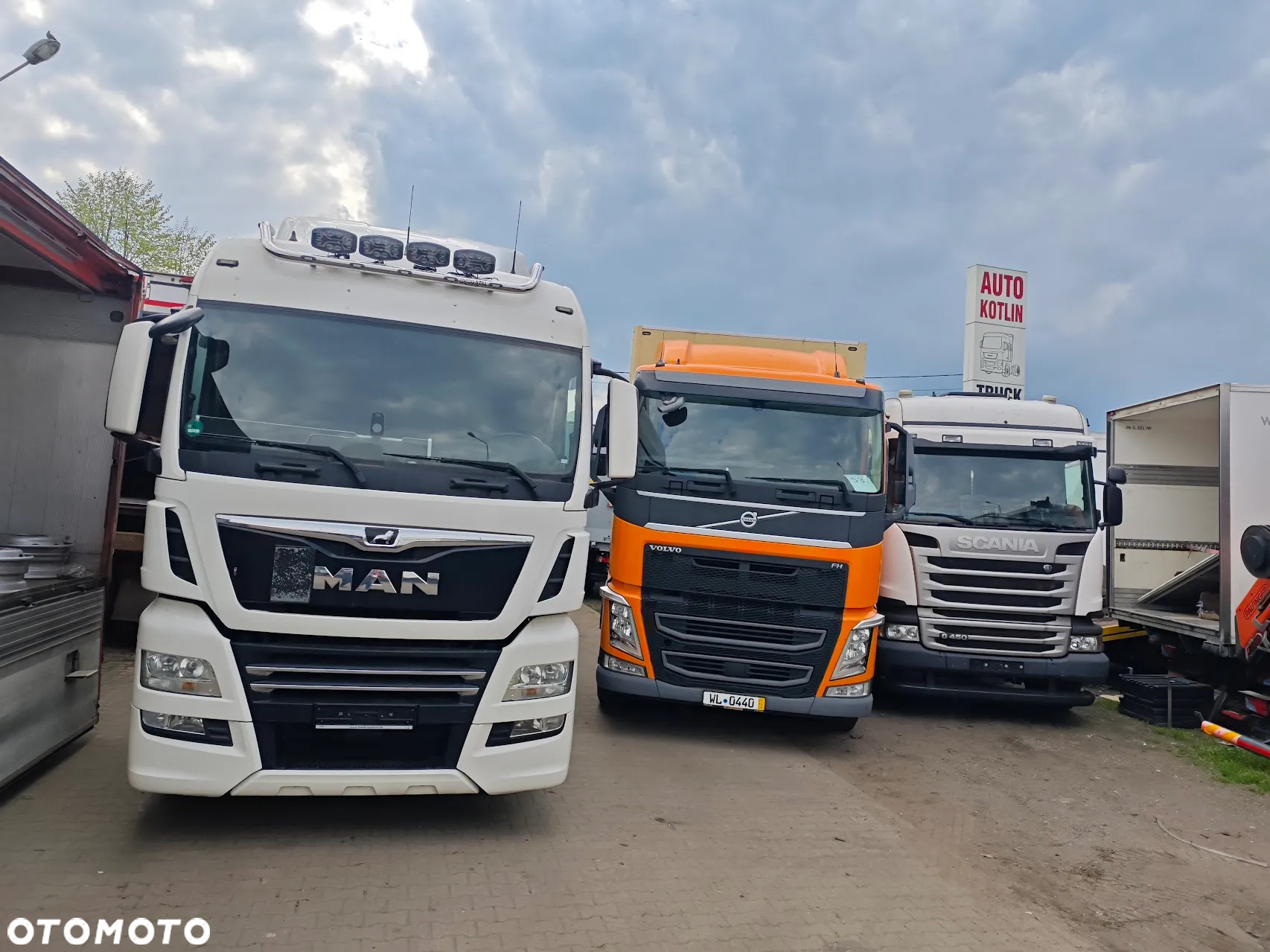 MAN MAN TGX * TGS * kontener * chłodnia * izoterma  * thermo king * Carrier *winda - 19