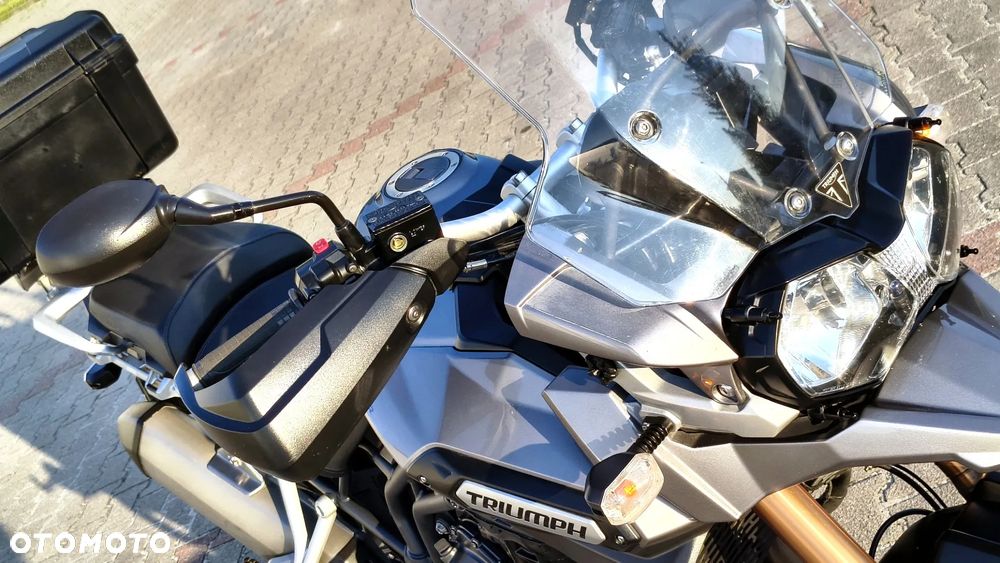 Triumph Tiger - 25