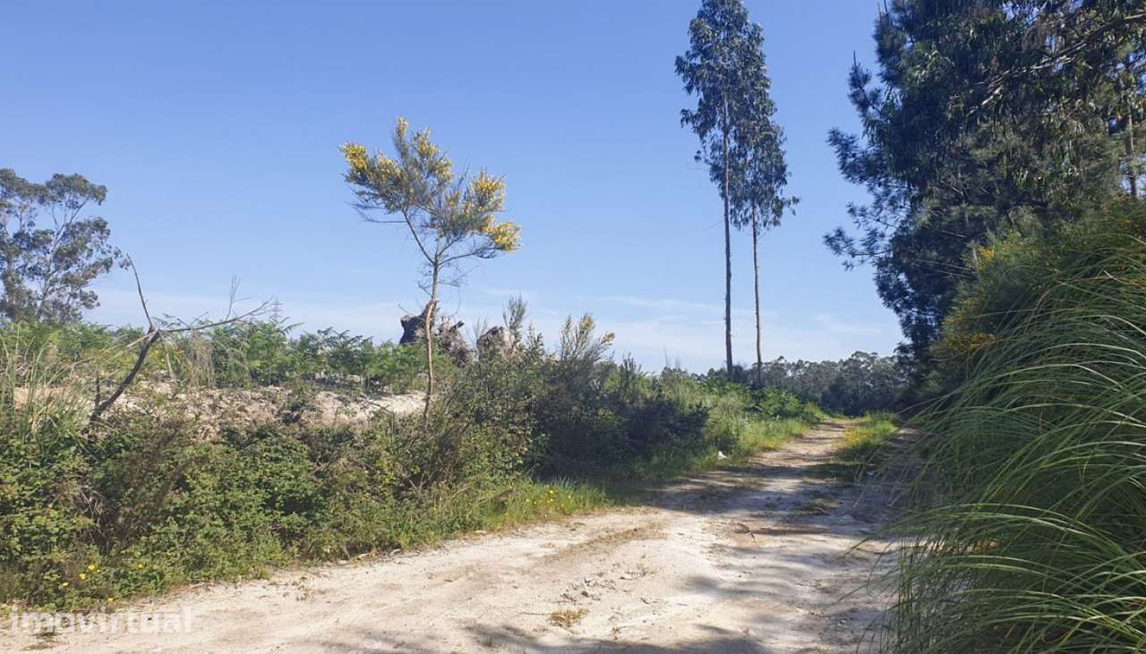 Venda de Terreno industrial com 14 490 m2, Guilhabreu, Vila do Conde - Grande imagem: 5/11