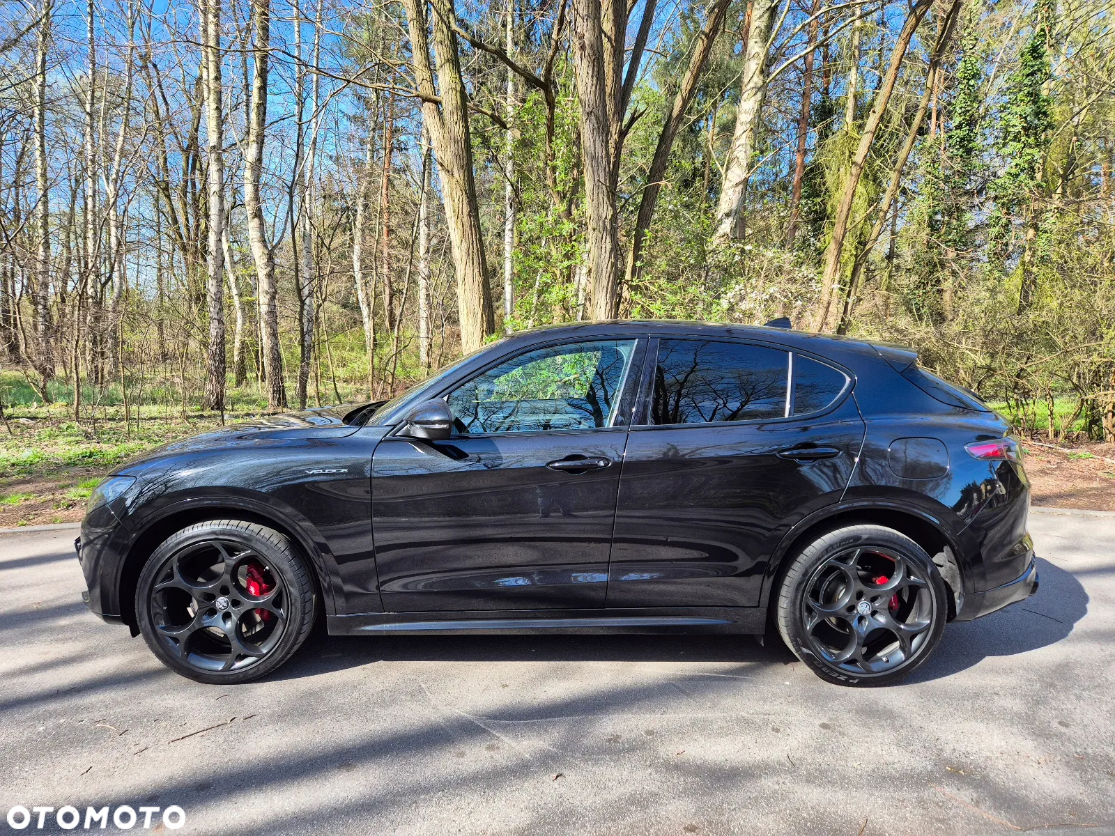 Alfa Romeo Stelvio 2.2 Diesel 16V AT8 Q4 Veloce Ti - 4