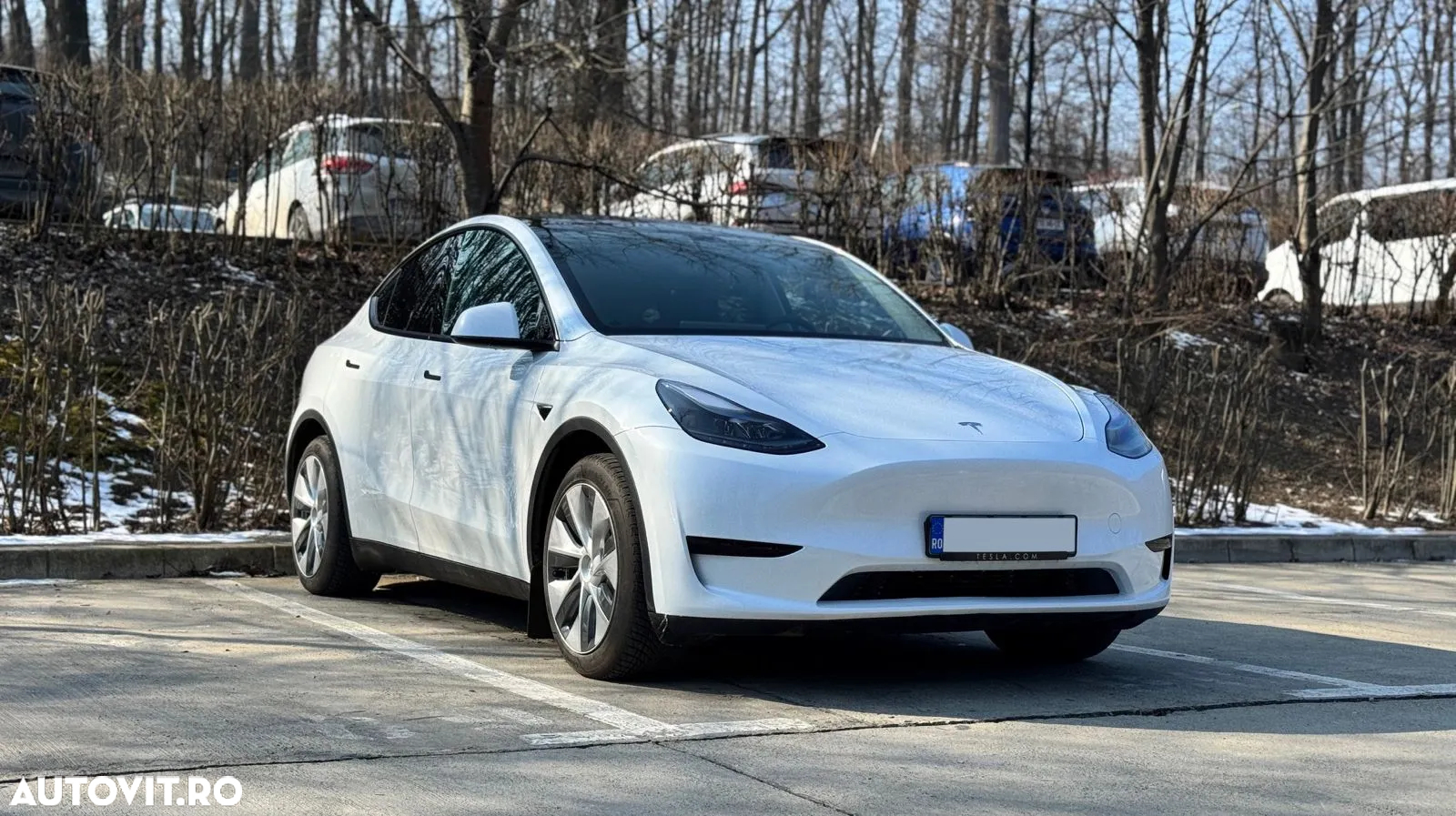 Tesla Model Y - 3