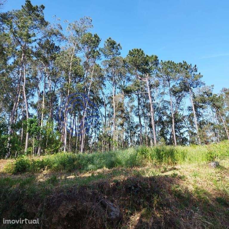 Terreno Rustico 6844 m2 para construção em Souto , Stª Maria da Feira - Grande imagem: 2/21