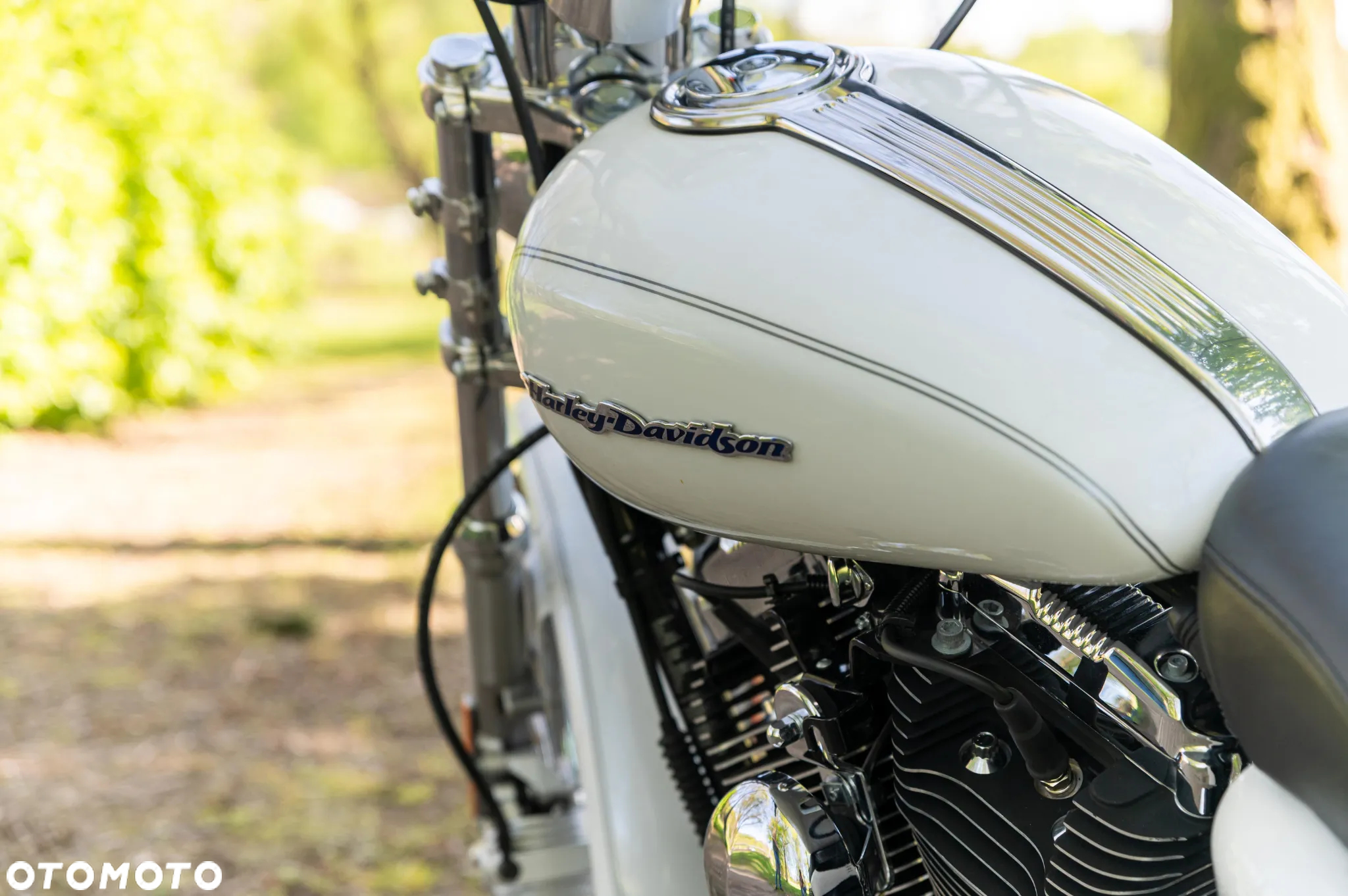 Harley-Davidson Inny - 24