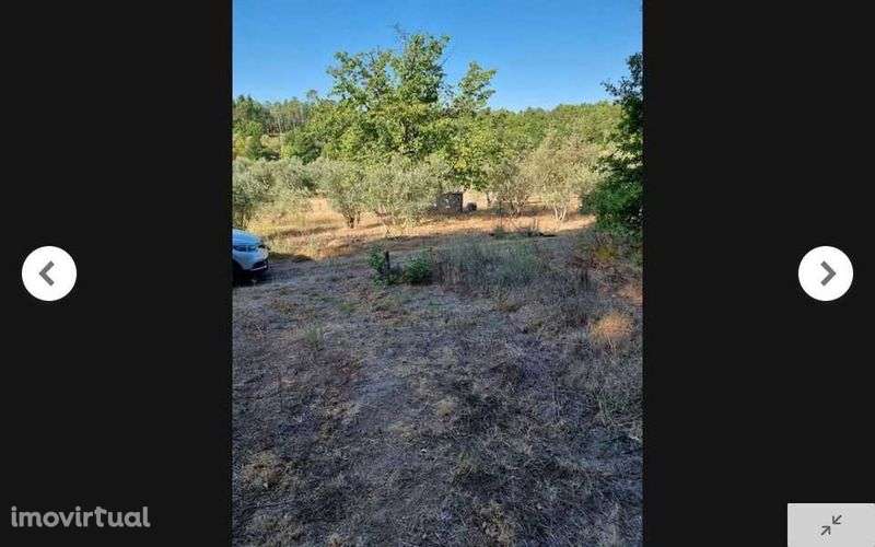 TERRENO 5.500m2 Parada de Gonta - Tondela - Grande imagem: 2/10