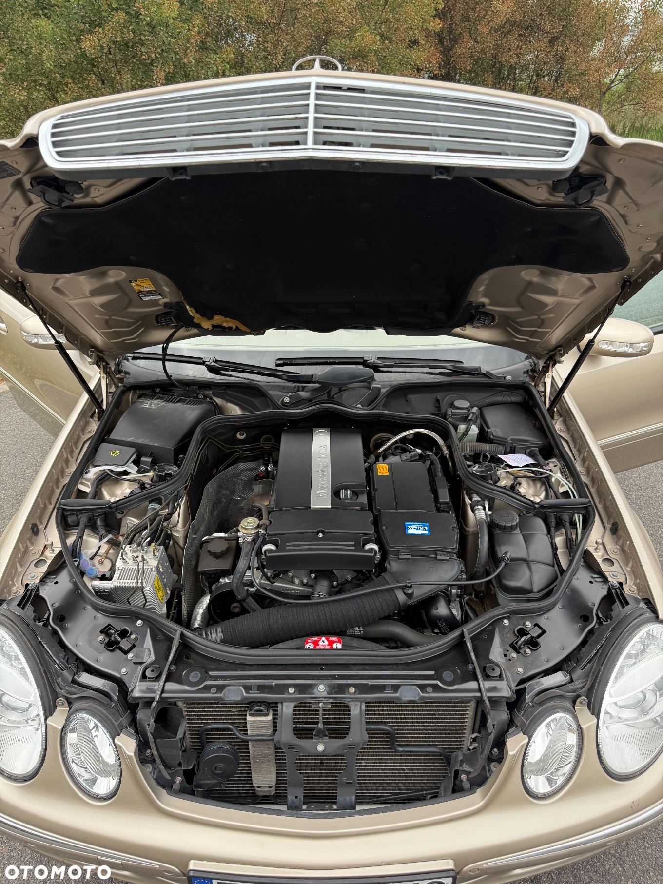Mercedes-Benz Klasa E 200 Kompressor Automatik Elegance - 27