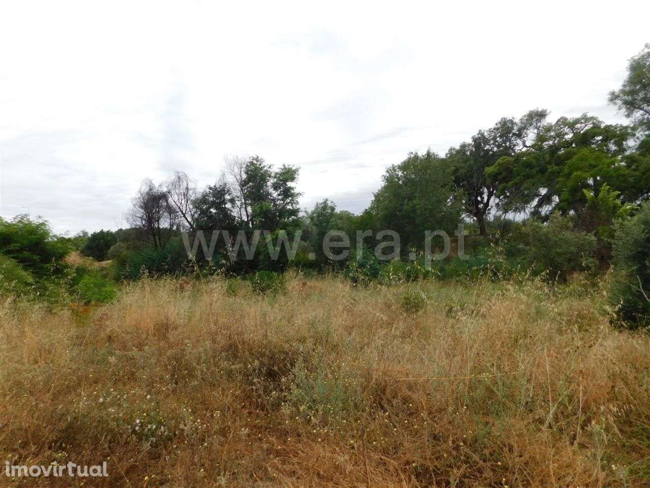 Terreno / Fundão, Soalheira - Grande imagem: 5/5