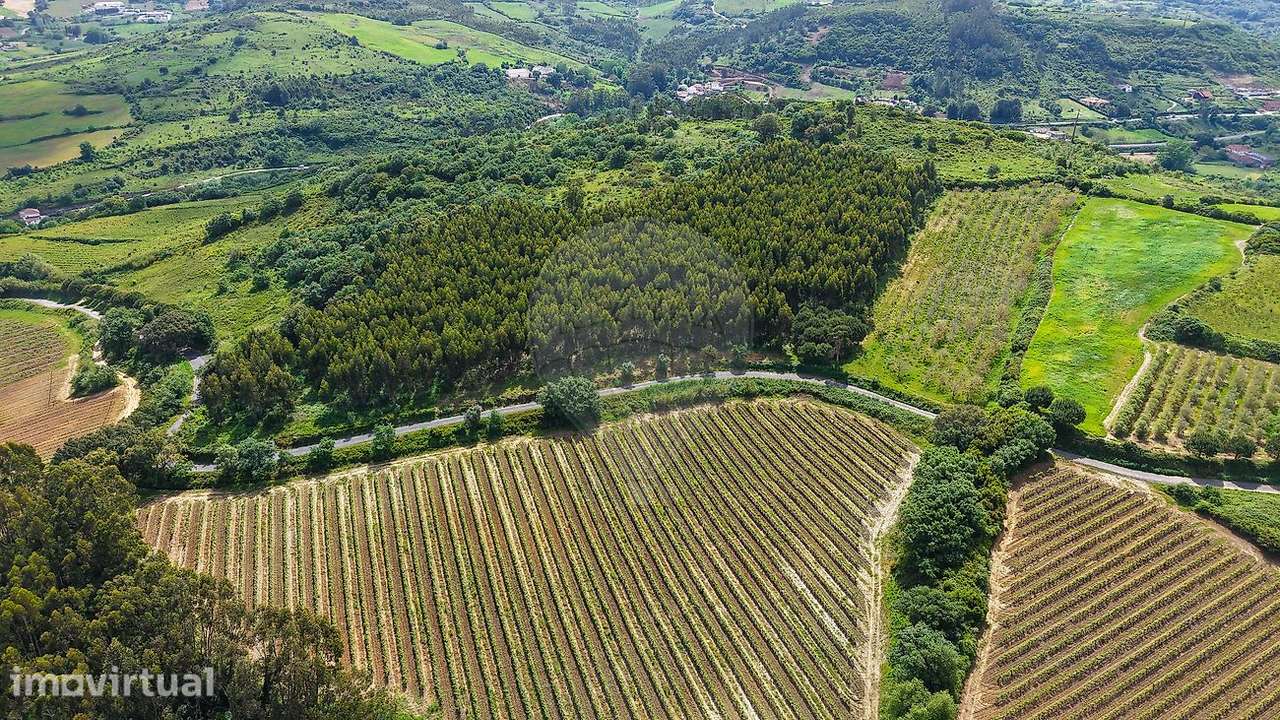Terreno  para venda - Grande imagem: 5/10