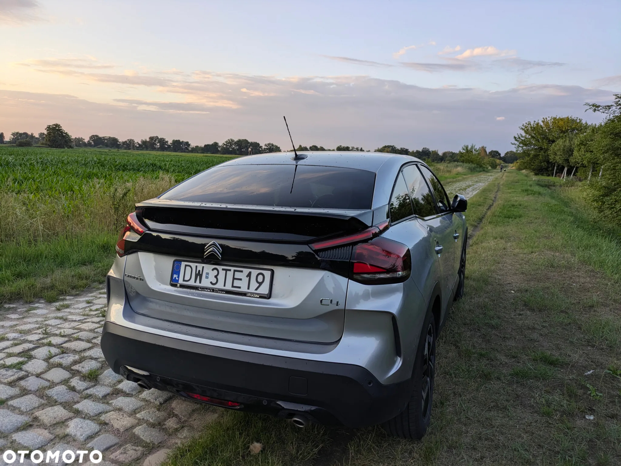 Citroën C4 1.2 PureTech Shine S&S EAT8 - 6