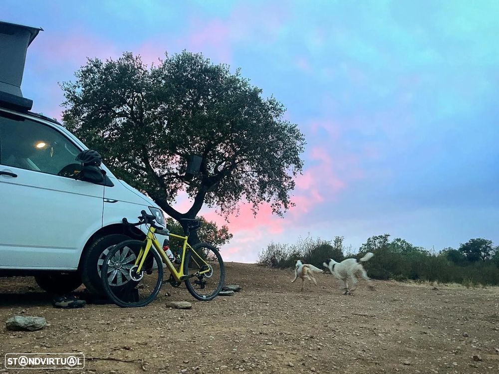 VW Transporter California Coast - 3