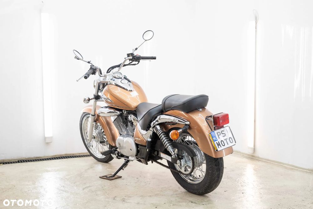 Suzuki Intruder - 8
