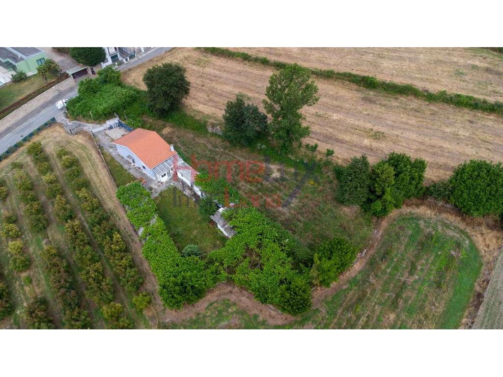 Terreno Rústico em Águas Santas - Grande imagem: 2/17