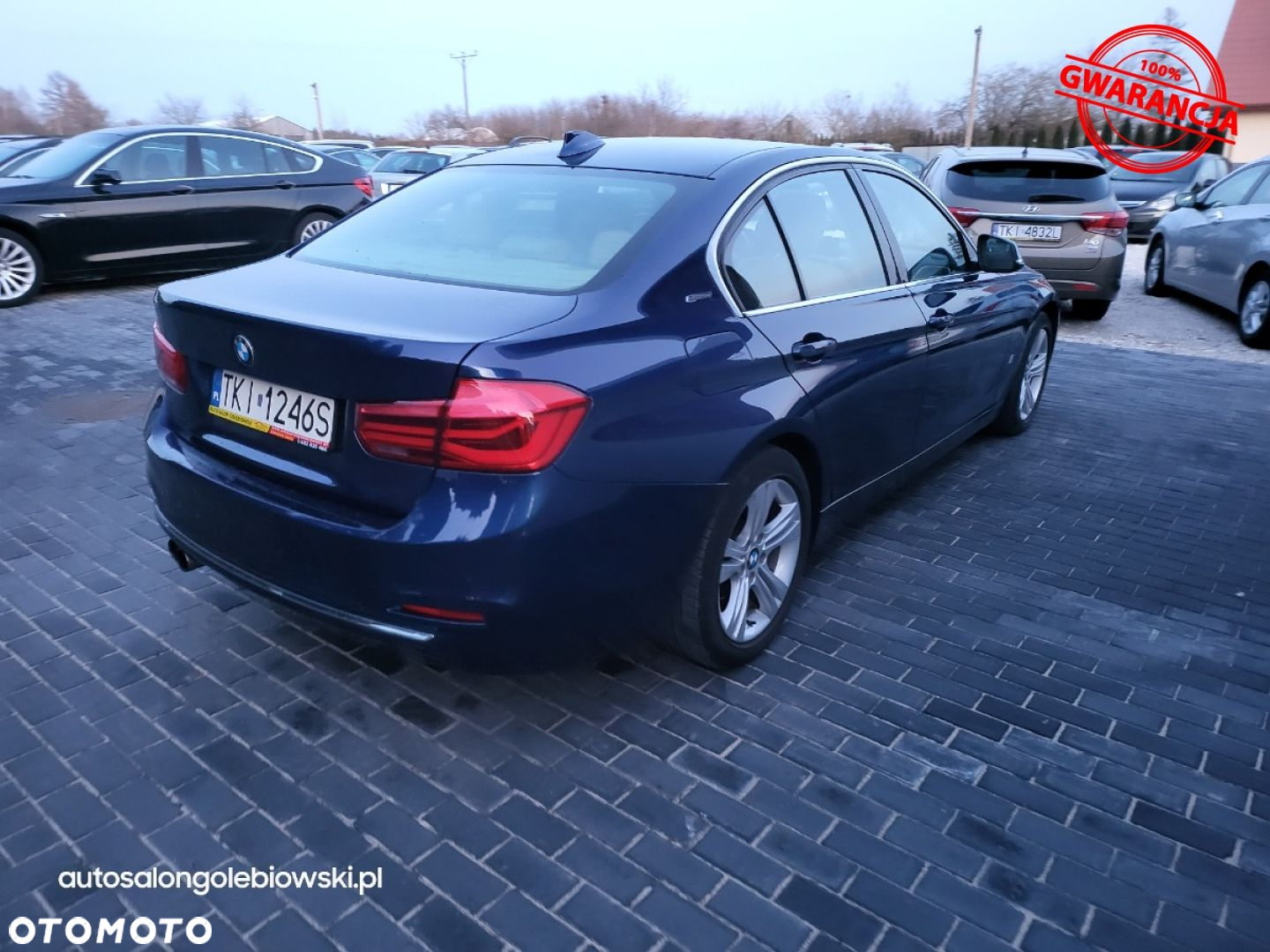BMW Seria 3 - 20