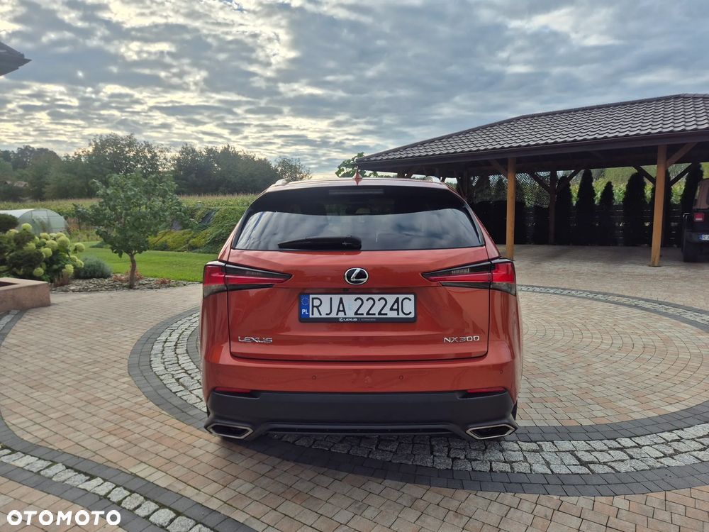 Lexus NX 300 Elegance AWD - 6