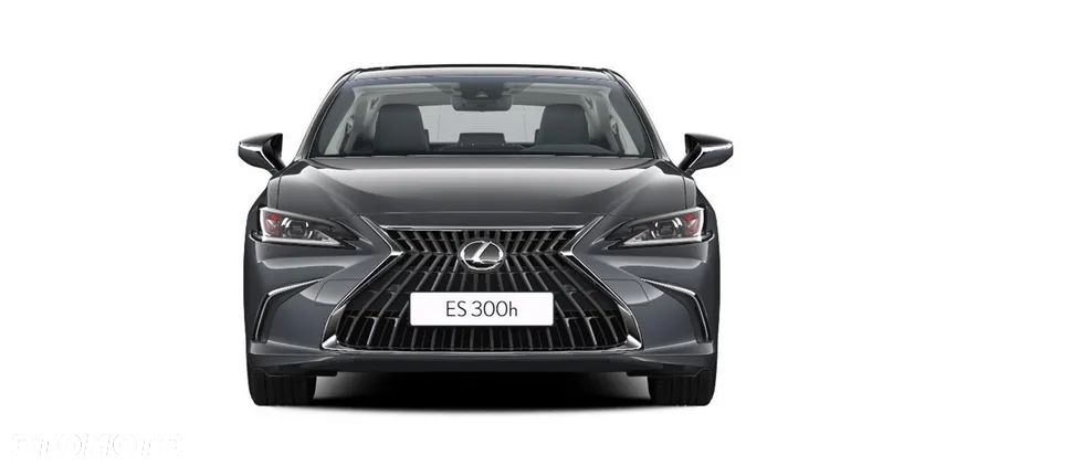 Lexus ES 300h Business Edition - 1