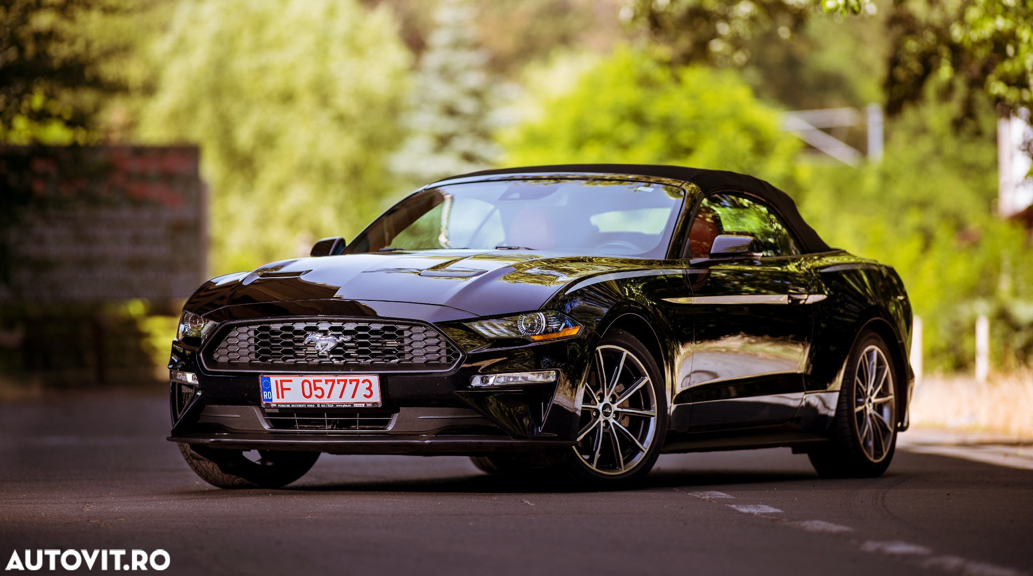 Ford Mustang Cabrio 2.3 Eco Boost - 28
