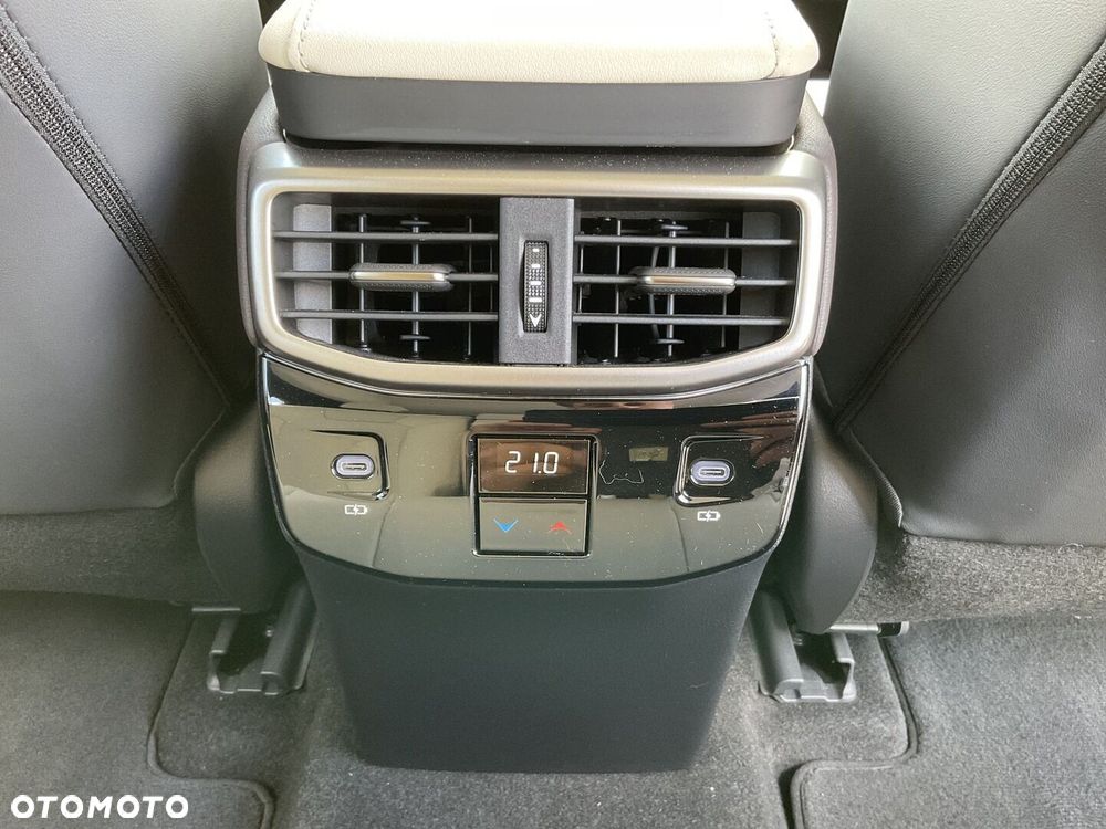 Lexus RX - 31