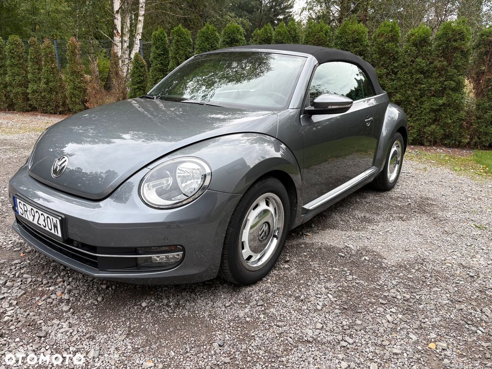 Volkswagen Beetle - 4