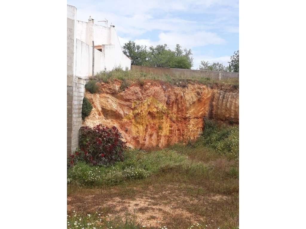 Lote de Terreno para Venda no Calvário, Lagoa - Grande imagem: 4/10