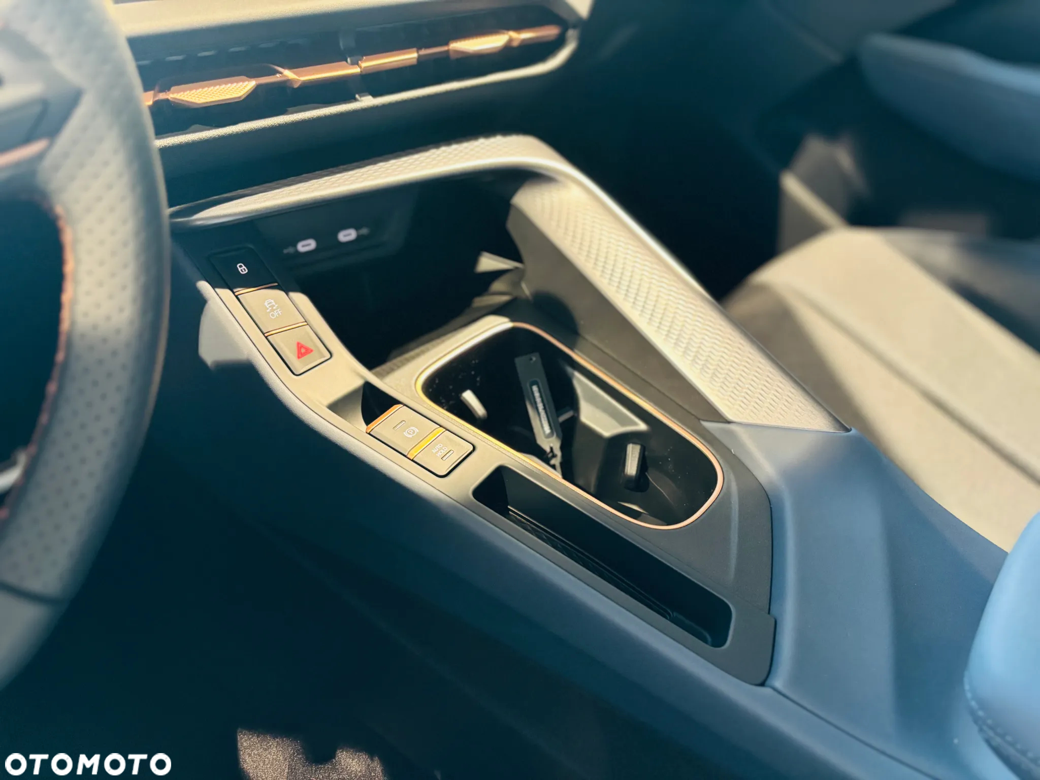 Cupra Terramar - 14