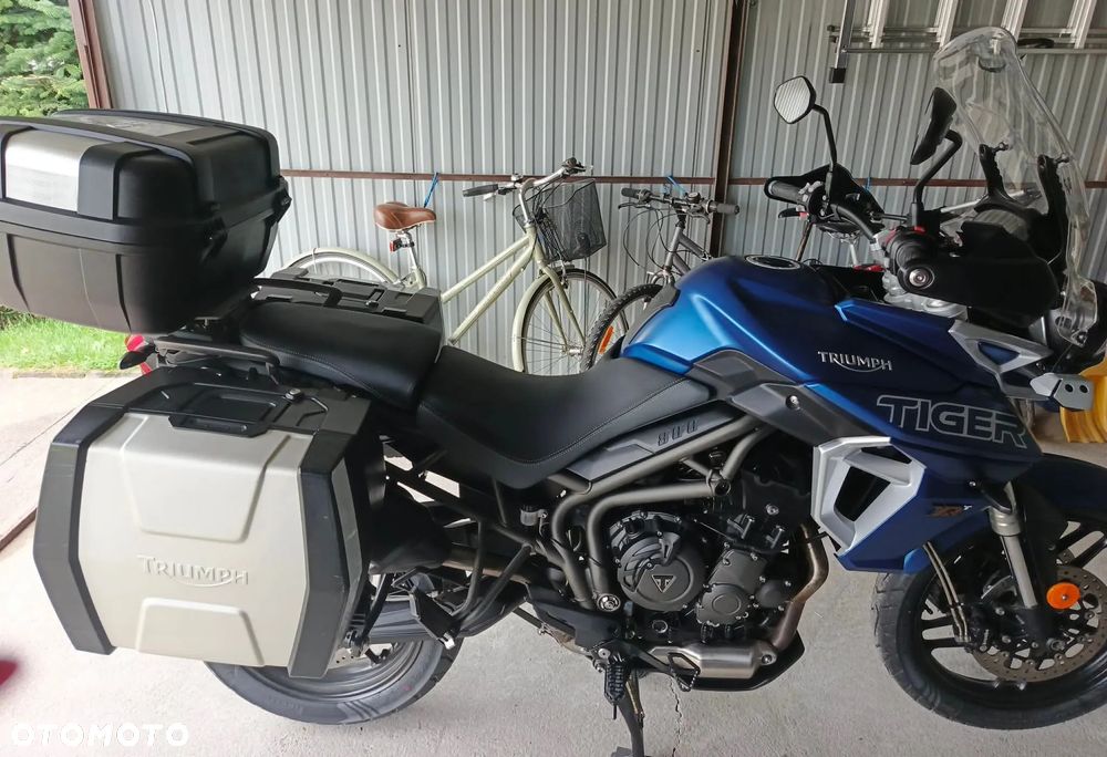 Triumph Tiger - 7