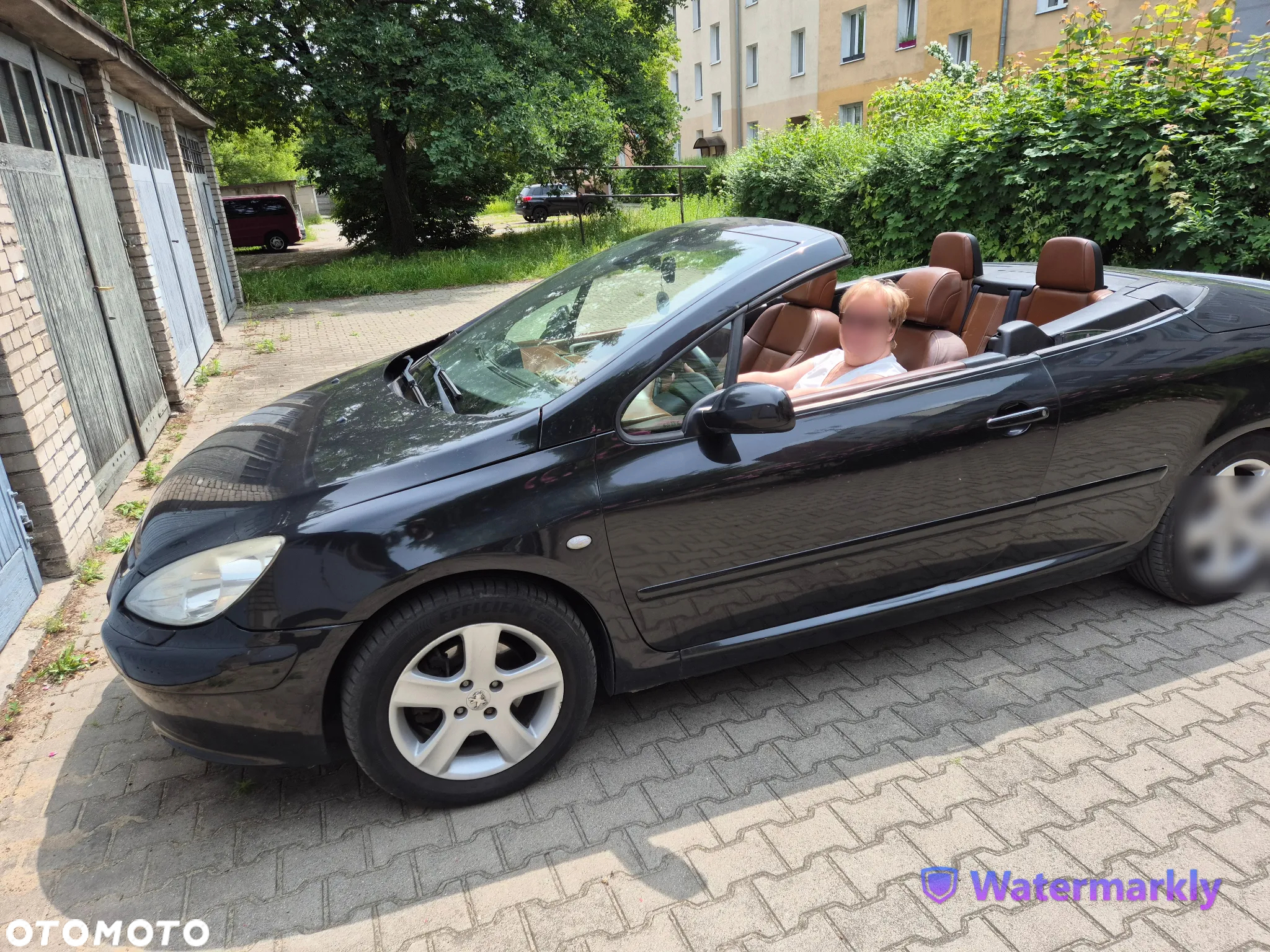 Peugeot 307 - 6