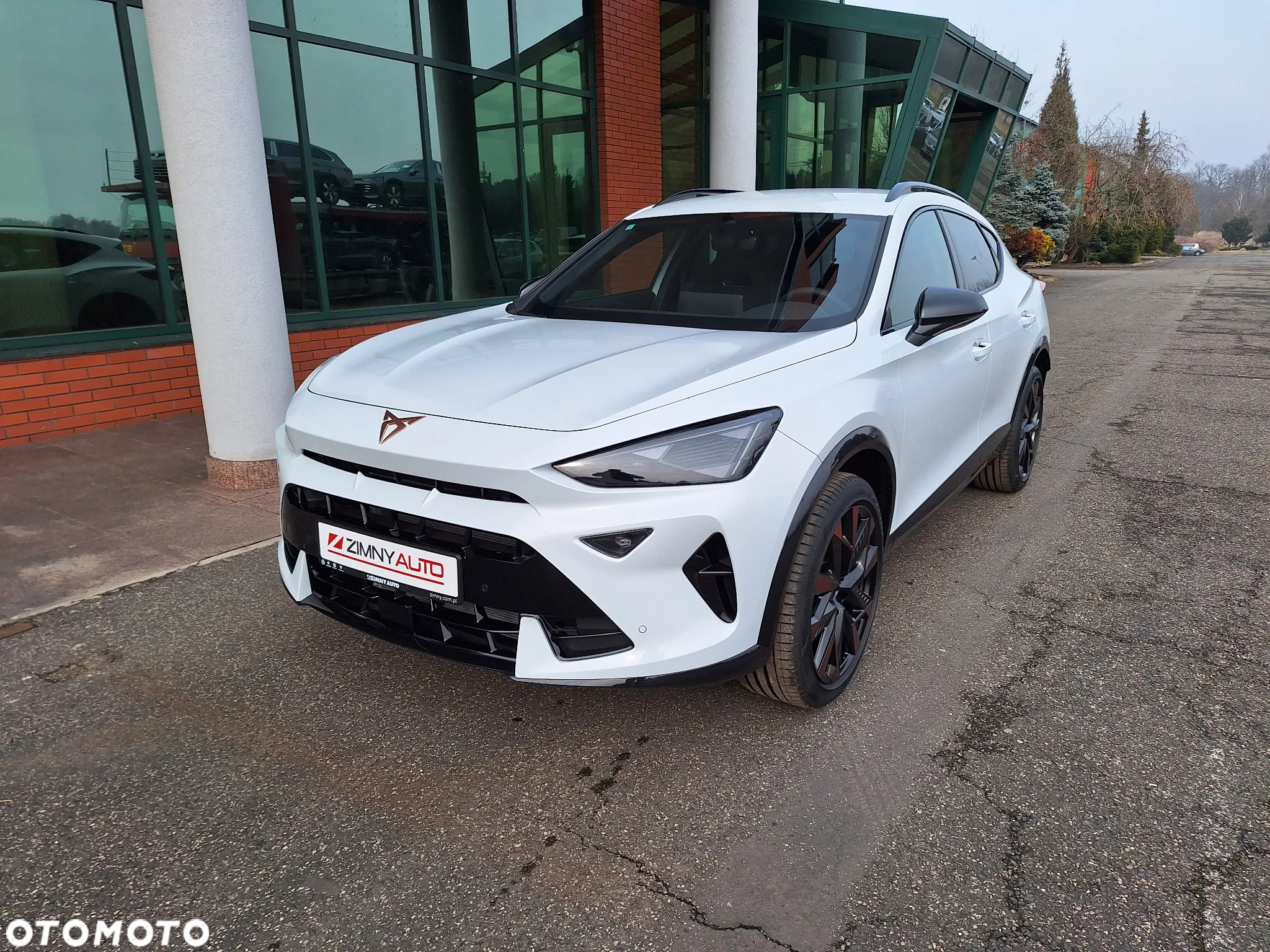 Cupra Formentor 1.5 TSI DSG - 2