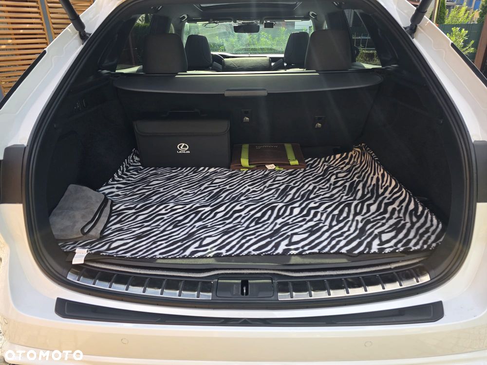 Lexus RX 500h F Sport Edition - 7