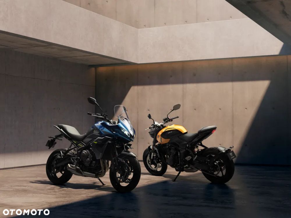 Triumph Tiger - 14
