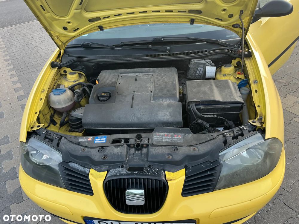 Seat Ibiza - 2