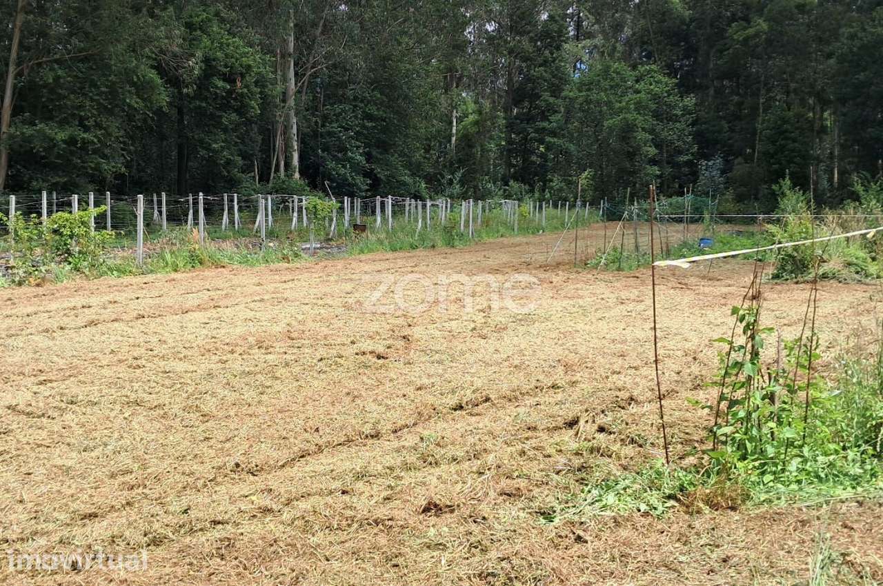 Terreno rústico com 5.670 M2 em Fradelos V.N. Famalicão - Grande imagem: 2/25