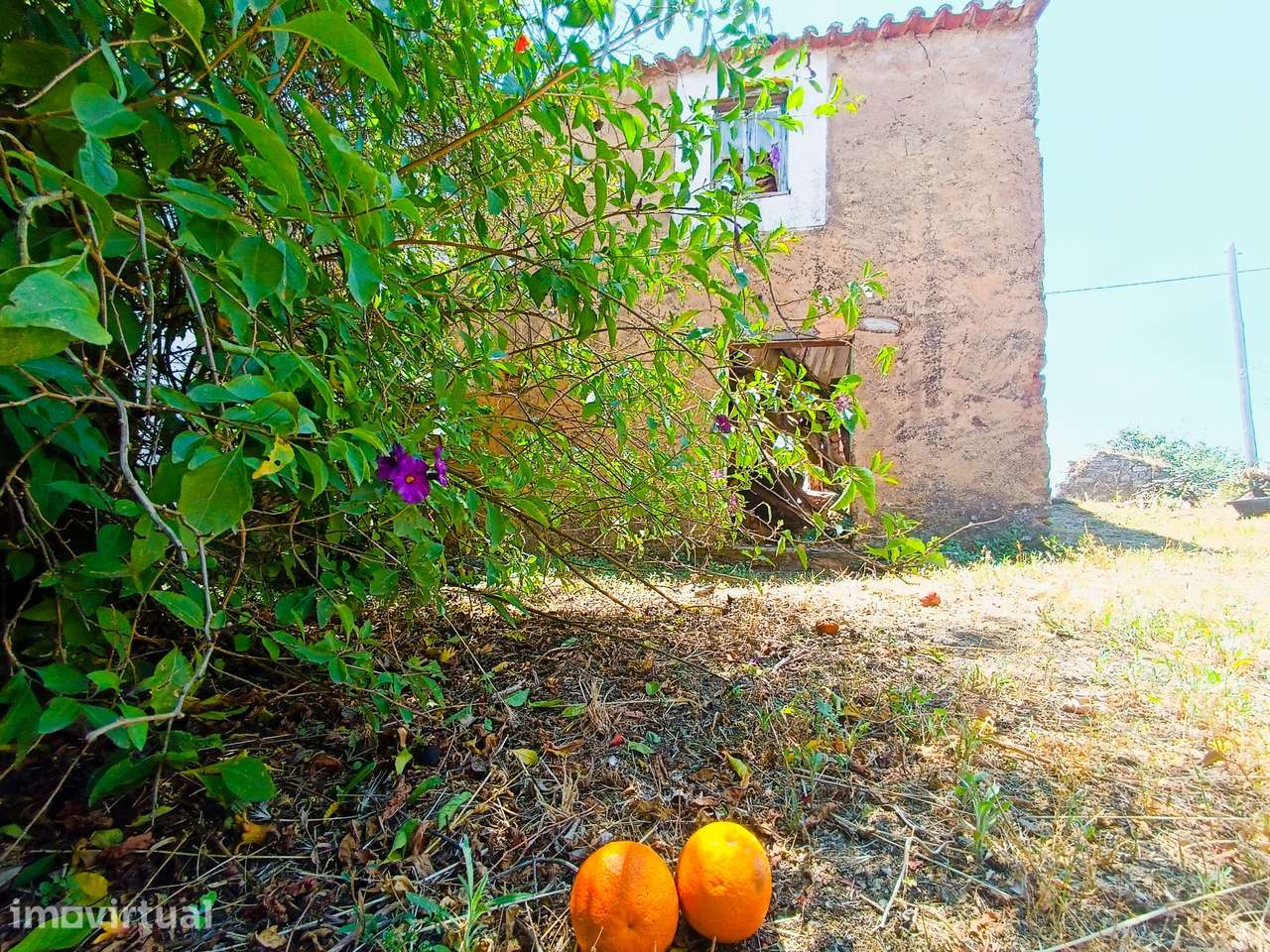 Abrantes, Cabeça Gorda - terrenos com ruínas, junto à Albufeira de Cas - Grande imagem: 5/26