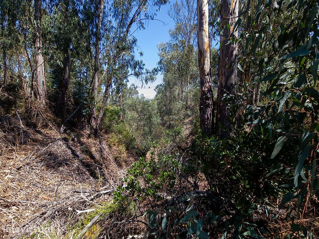 Terreno  para venda - Grande imagem: 5/6