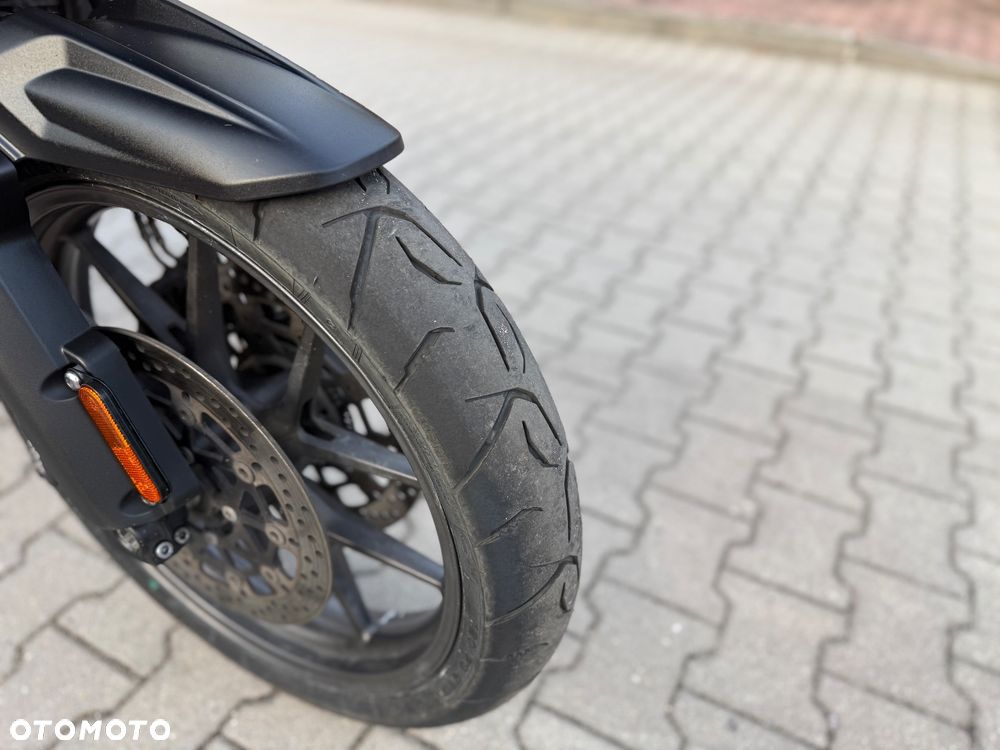 Triumph Tiger - 4