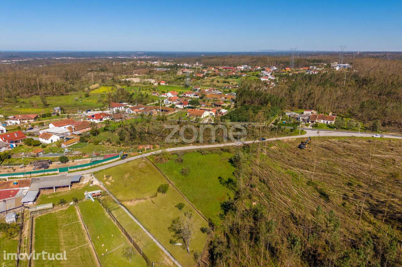 Terreno rústico – Souto da Carpalhosa - Grande imagem: 4/20